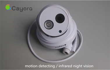 Dual-stream Megapixel IP Camera 1/3" CMOS 2Pcs Array LED Alarm Recording IP Camera