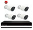 4CH Linux NVR Kits, 4PCS 720P P2P IP Camera with POE Function + 4CH NVR DR-N044